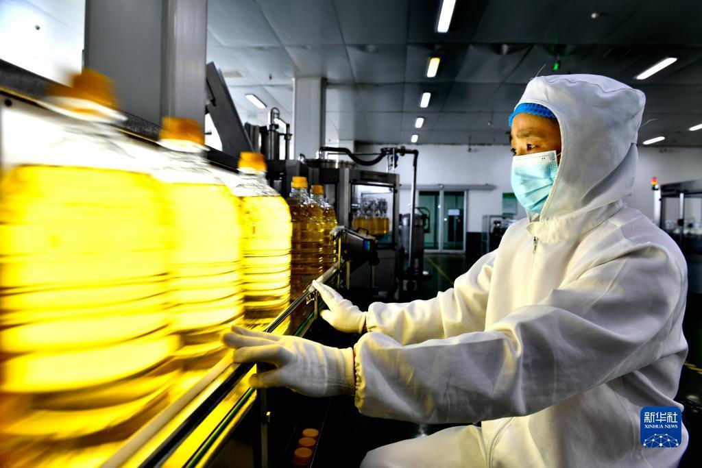 永利现金官网